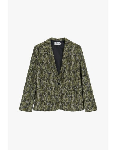 Please femme blazer à bouton et col revers en crêpe fluide imprimé coloris verde